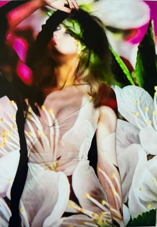 Paris Taylor Signed Photo